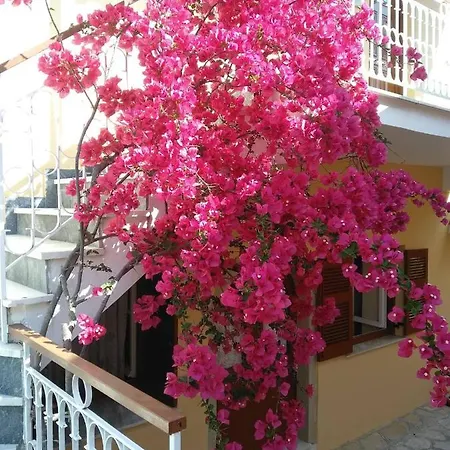 Tatil Evi Traditional Sophia's Family House Kastellanoi (Parelioi, Corfu)
