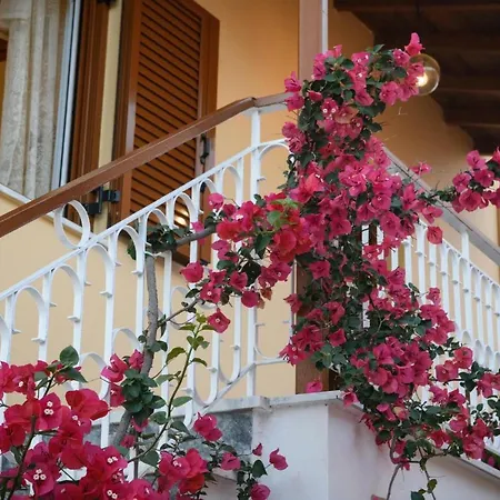 Traditional Sophia's Family House Casa de Férias